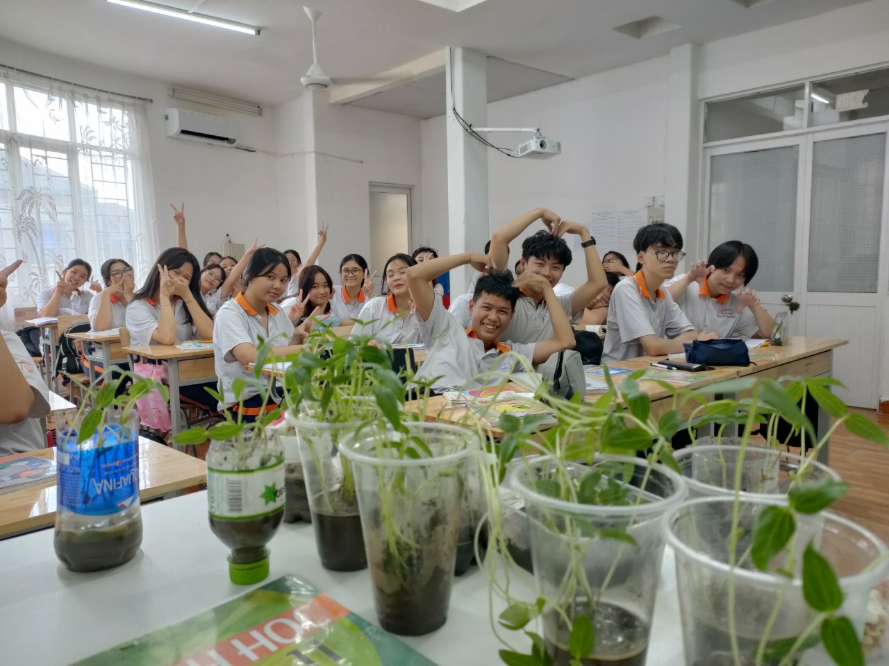 THỰC HÀNH TRỒNG GIÁ VÀ TRỒNG CÂY ĐẬU XANH. PHẦN 1